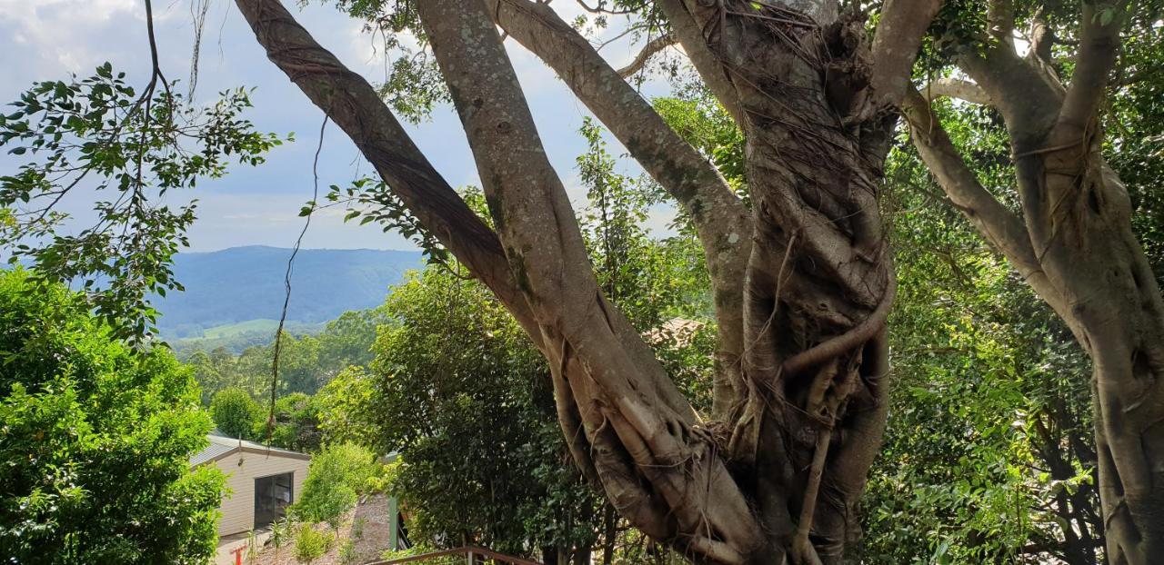 Tranquil Park Μοτέλ Maleny Εξωτερικό φωτογραφία